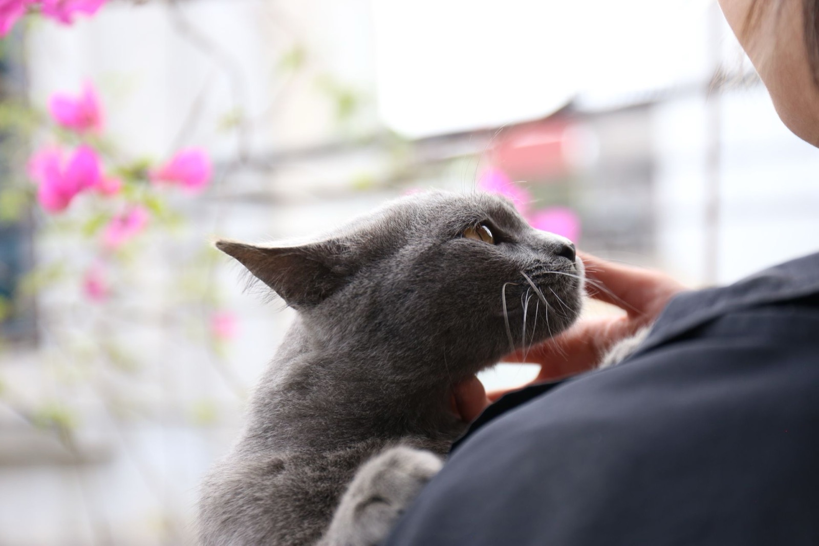 c601-fig-b4の画像