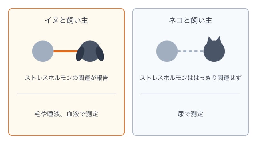 飼い主と動物のストレスホルモンのつながりを、イヌとネコで比べた図です。イヌではつながりが報告されていますが、今回のネコでははっきりせず、測り方(下の段)も違います。