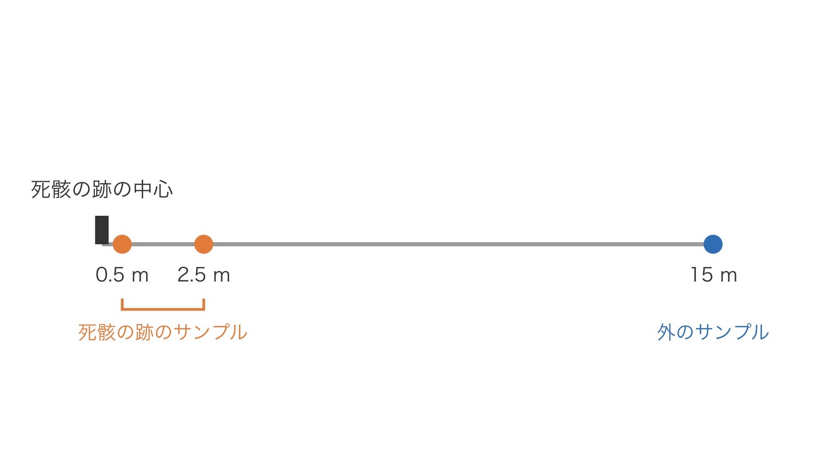 c74-fig-b3の画像