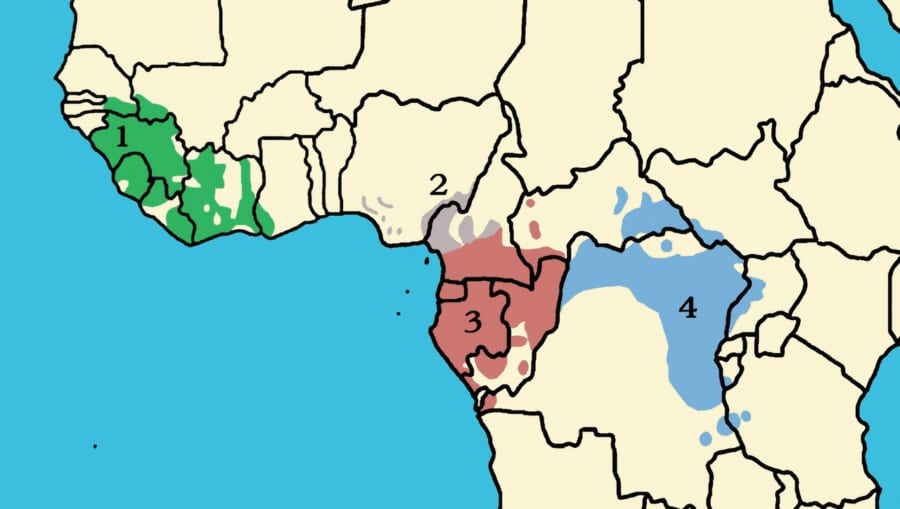 アフリカの地図に、チンパンジーの4つの亜種の分布を色分けした図