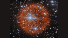 「宇宙の花火」を限界まで拡大したら、巨大な真珠が連なっていた──1粒で海王星の軌道10個ぶん