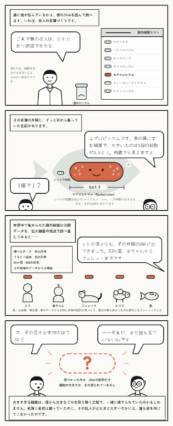 人間の腸にも「巨大細菌」が潜んでいる可能性がある