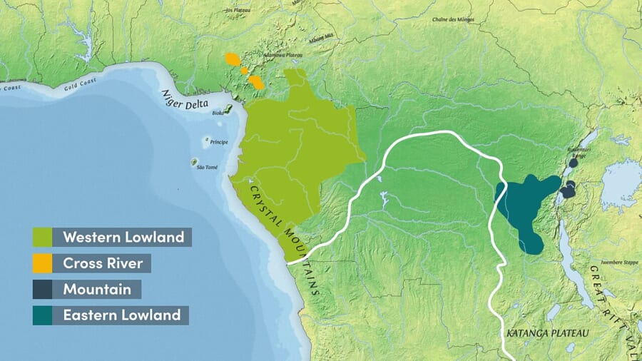 アフリカ中部の地図。西側に黄緑とオレンジ、東側に紺と青緑の色がぬられ、そのあいだを白い線の川が流れる