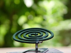金属の台に立てられた、緑色のうず巻き形の蚊取り線香