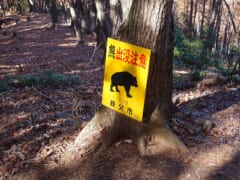 森の木に取り付けられた、黒いクマの絵と「熊出没注意」「秩父市」の文字がある黄色い看板