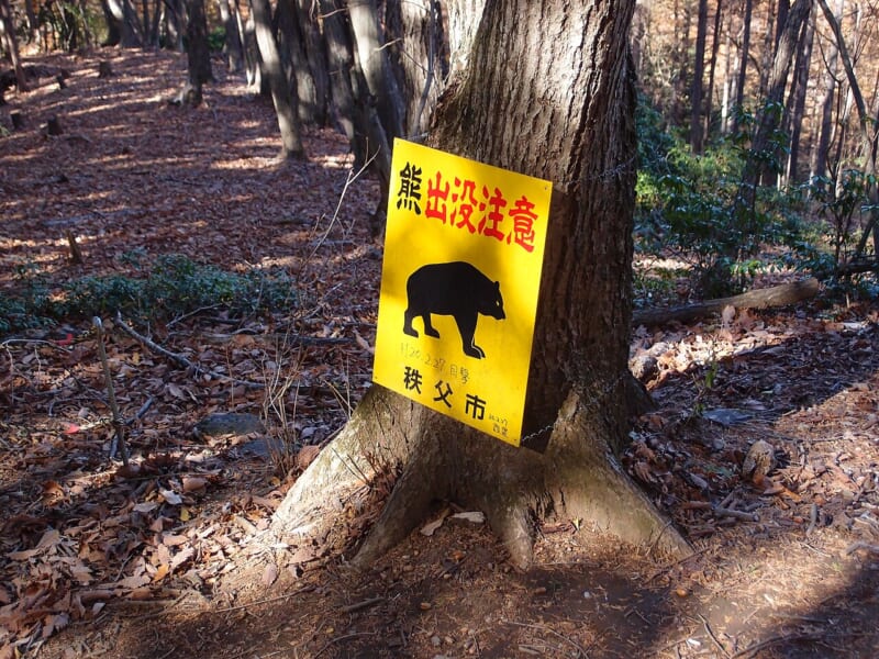 森の木に取り付けられた、黒いクマの絵と「熊出没注意」「秩父市」の文字がある黄色い看板