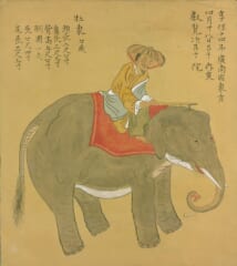 赤い布をかけたゾウの背中に、笠をかぶった象使いが乗っている昔の日本の絵
