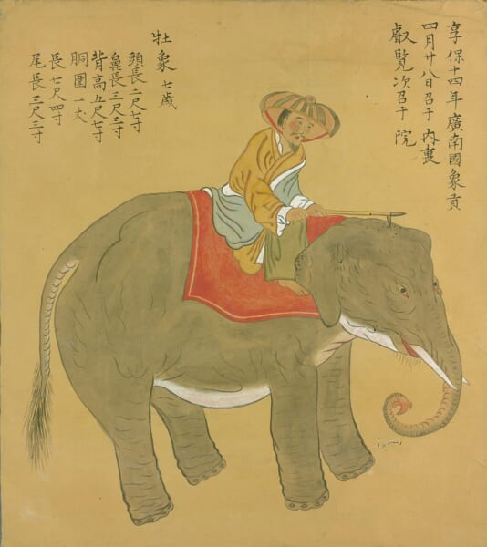 赤い布をかけたゾウの背中に、笠をかぶった象使いが乗っている昔の日本の絵