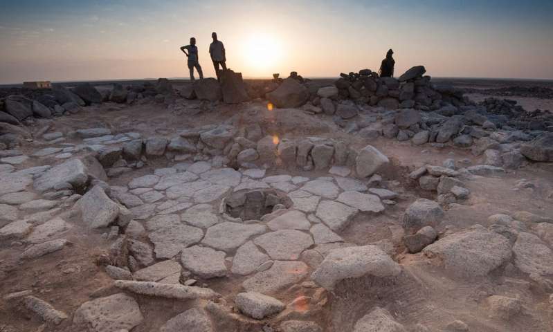 農業が始まる4000年前の「パン」が発見される