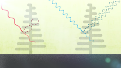 なぜ青い生物は少ないのか？の画像 11/25