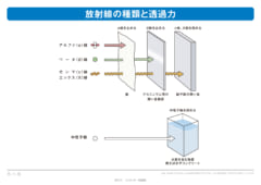 月の強烈なガンマ線が明らかに　有人探査時の被ばくに不安の画像 5/5