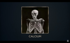 花火の「色の違い」、仕組みわかる？「花火の化学」をわかりやすく解説！の画像 18/28