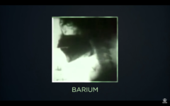 花火の「色の違い」、仕組みわかる？「花火の化学」をわかりやすく解説！の画像 21/28