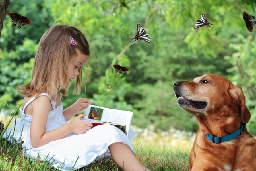 犬に読み聞かせ。新しい教育法「読書犬」がフィンランドで流行中