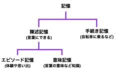 記憶喪失にはどんな種類があるの？の画像 2/2