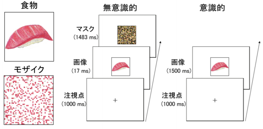 「無意識」でも食べ物に感情を感じてしまう脳内メカニズムを解明