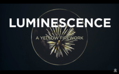 花火の「色の違い」、仕組みわかる？「花火の化学」をわかりやすく解説！の画像 7/28