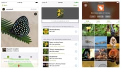誰でも自然探索！動物や植物の名前を教えてくれるアプリ『iNaturalist』の画像 1/11