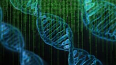 ゲノム編集による「完全合成生物」が誕生！ 　なぜか海外ケモナーが歓喜の画像 2/3