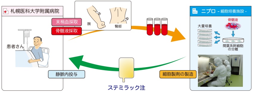 今月から開始された話題の脊髄損傷治療って？