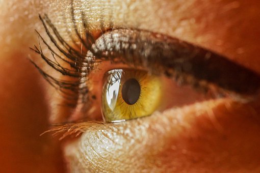 心の中で明るいものを想像するだけで「瞳孔」の開きが変化すると判明