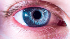 なぜ青い生物は少ないのか？の画像 20/25