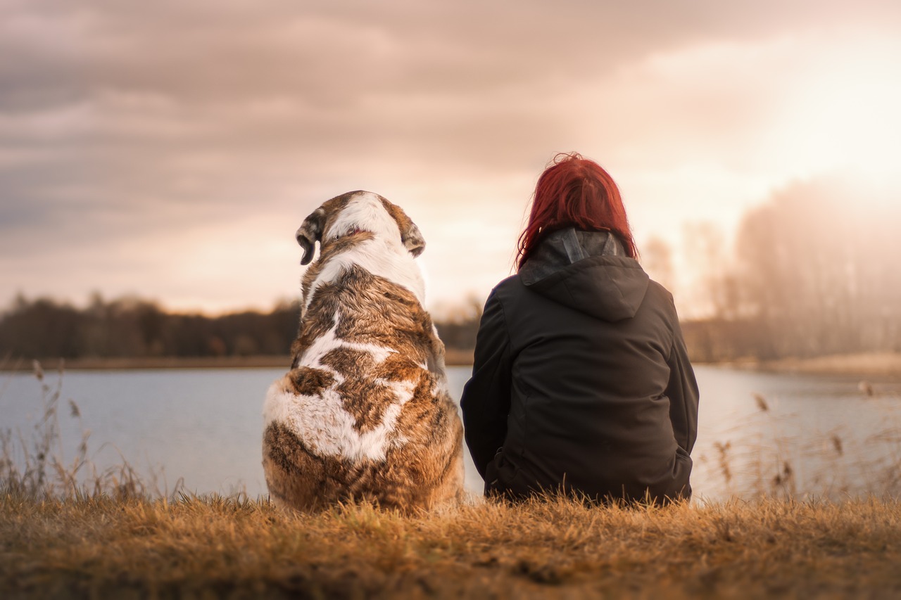 犬を飼うかは遺伝子で決まっている!?　DNAに刻まれた人と犬の絆の画像 1/3