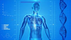 闘争心は「骨」が引き出すという新事実発覚！アドレナリンではなかったの画像 3/3