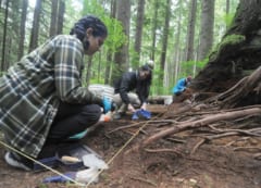 失われた「日本人村」がカナダの森の中で発見されるの画像 4/4