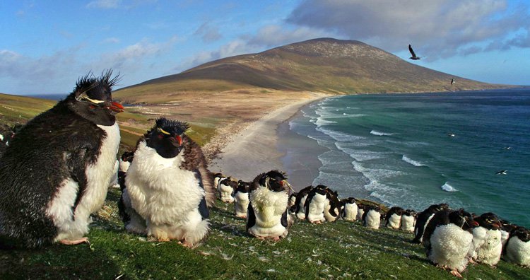 世界のフシギな島10選！　「口笛で会話するトリがいる島」