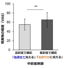 「世界が色あせて見える」現象は脳のせいだった。現実感がなくなる脳の仕組みを発見の画像 3/4