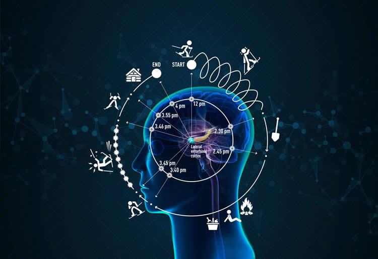 「主観的な時間」に関わる脳の領域が発見される