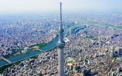 脳内には多くの情報が集まる「ランドマーク的な領域」が存在していたの画像 4/4