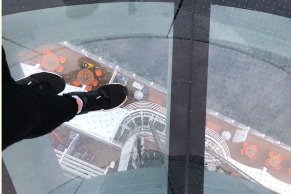 高所恐怖症を発生させる脳回路を発見「破壊すると高所にぶら下がる命知らずに」