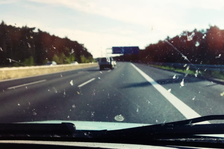 車にぶつかる虫の数は昔より減っているのか？実際数えて検証した研究