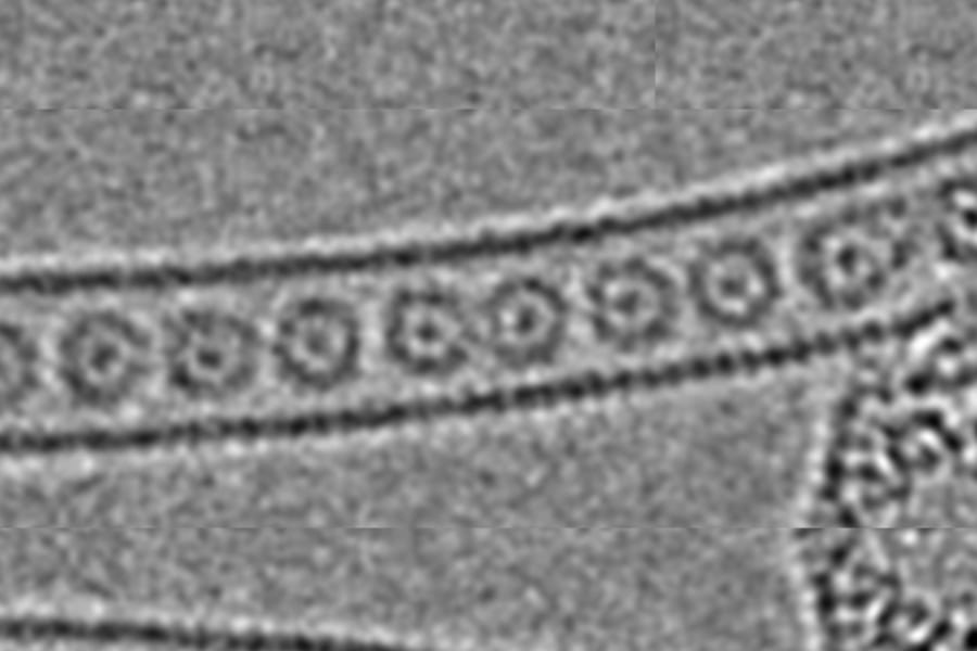 原子をナノチューブへ一列に閉じ込めた「一次元気体」の撮影に成功！