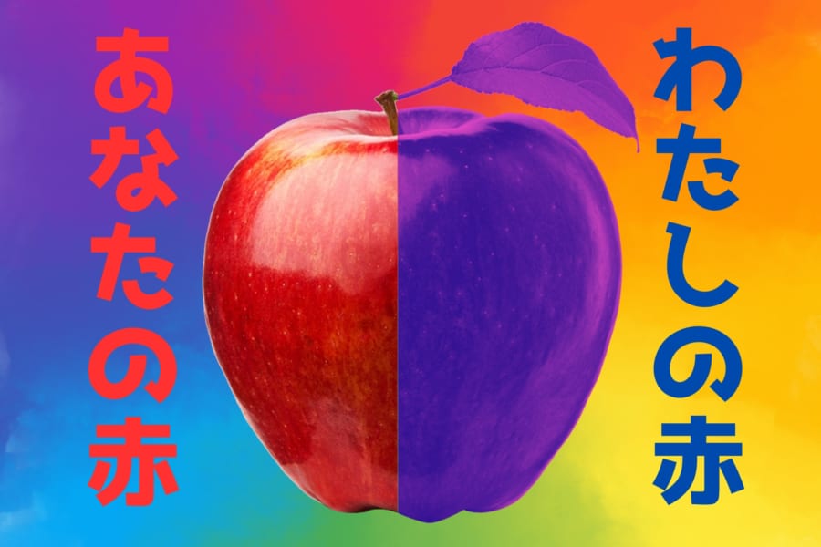 「私の赤とあなたの赤は違う色？」誰もが一度は考える疑問に色覚細胞の研究が意外な発見