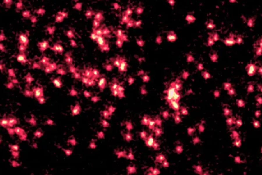 単一原子が「量子的な波」に変化する様子を視覚的に捉えた研究