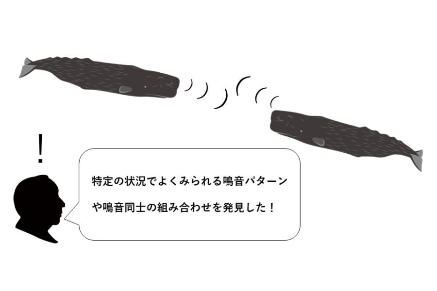 動物と話せる日が来る？クジラの鳴音にアルファベットのような構造を発見！