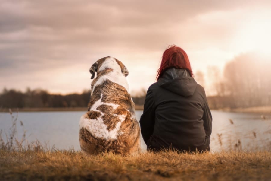 【人と犬はマブダチ】見つめ合うと「脳波がシンクロ」すると判明！