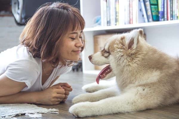 飼ってるペットで寿命が変わる！飼い主の一番寿命を伸ばす動物は…？