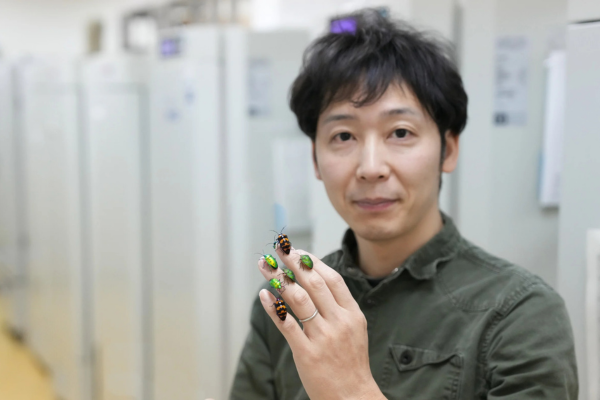 「セミはなぜ何年も土の中で過ごすのか？」昆虫の特殊な進化の裏に潜む秘密【ナゾロジー×産総研　未解明のナゾに挑む研究者たち】