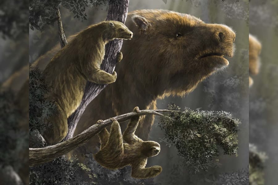 象サイズの巨大ナマケモノはいかに誕生し、なぜ絶滅したのか？
