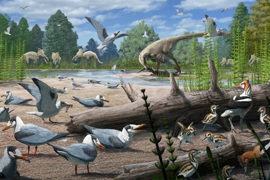 7300万年前の北極で鳥が繁栄していた証拠を発見！