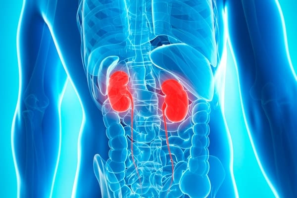 パーキンソン病は脳ではなく、実は腎臓が原因の病気かもしれない