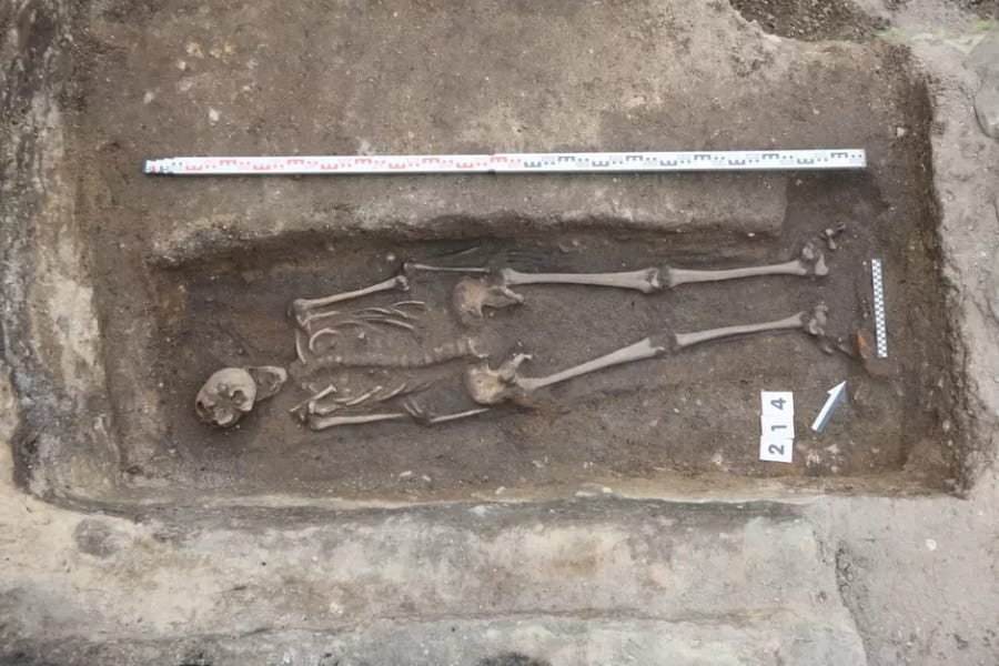 アイスクリーム屋の地下から「中世騎士の人骨」が見つかる