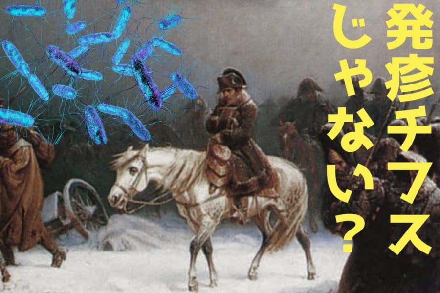 ナポレオン軍を壊滅させた「本当の病原体」が最新のDNA分析で判明