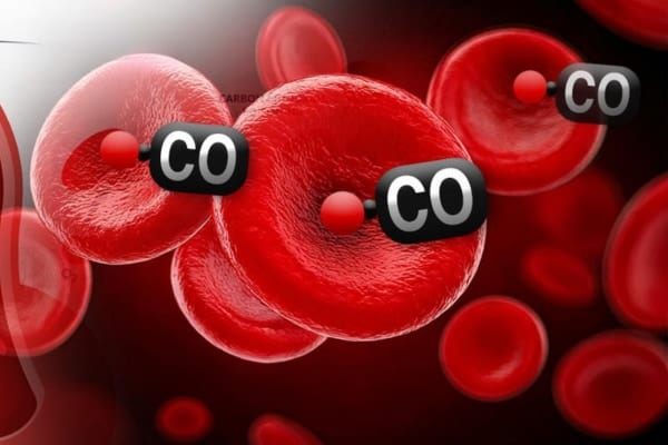 一酸化炭素中毒の初の解毒剤を開発「数分で血液を浄化」