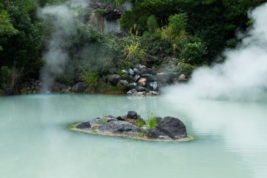 日本の「湯の華」は多様な植物を化石にしていた