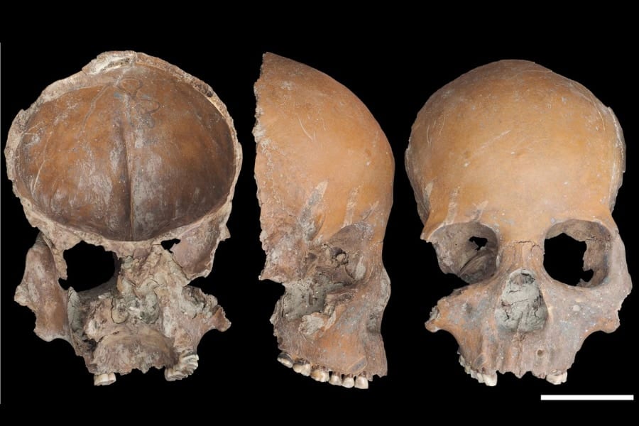 祖先の人骨を「コップ」に加工、5000年前の証拠を発見